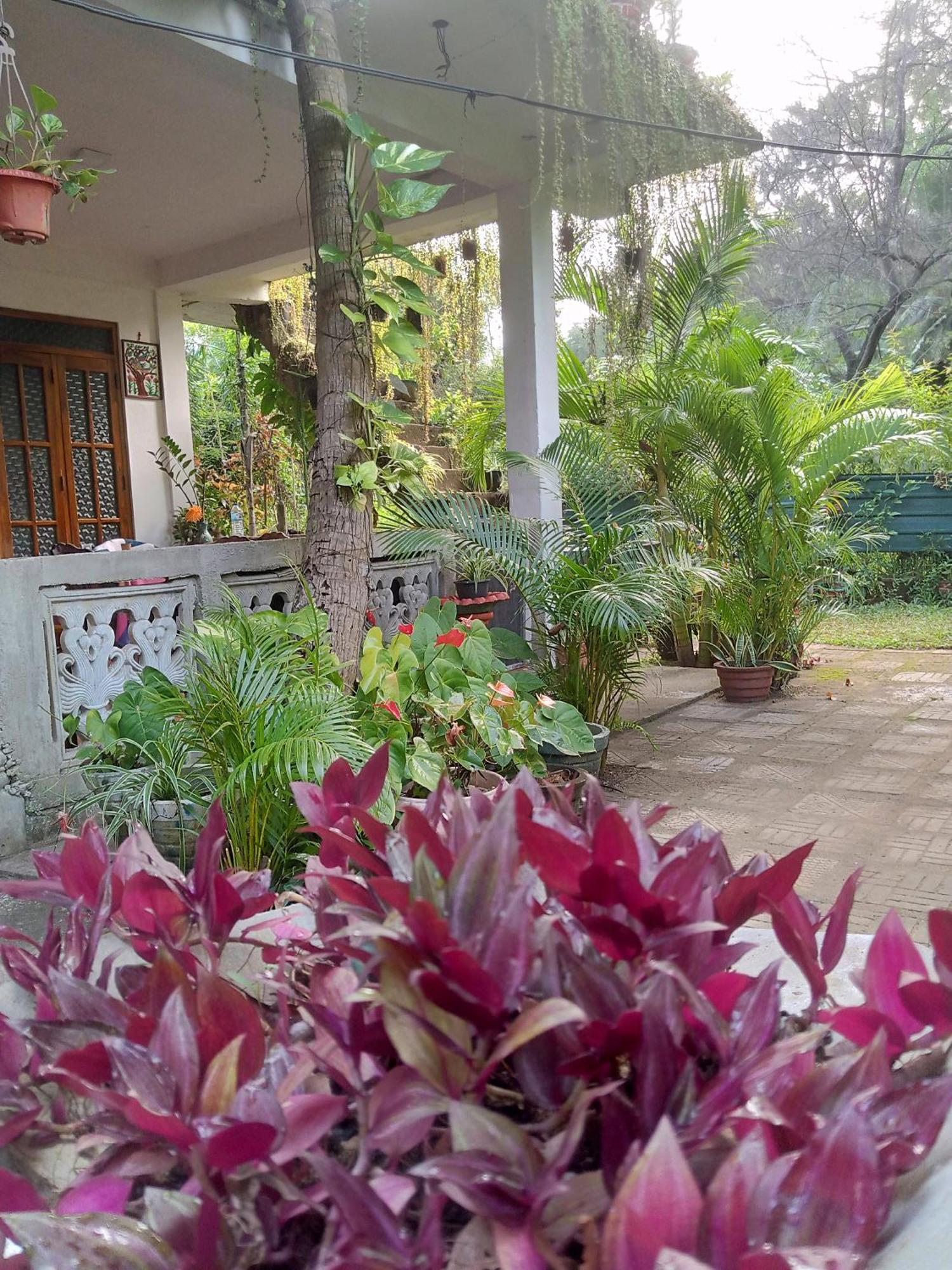 Nelum Home Stay Sigiriya Exterior photo